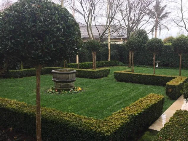 Hedge Trimming