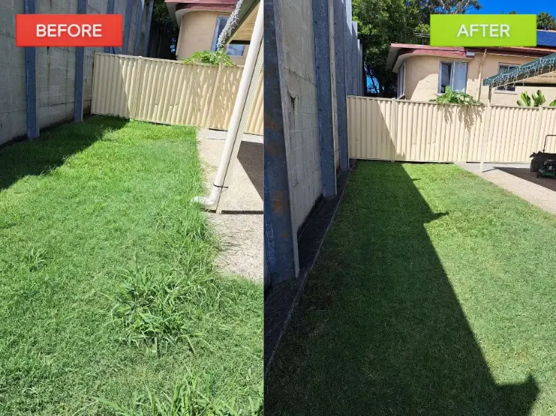 Before and After Lawn Transformation